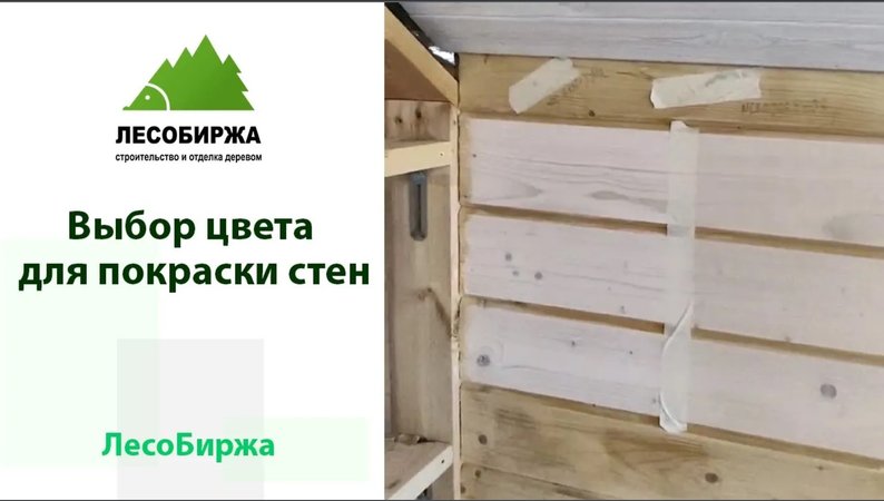 Выбор цвета для покраски брусового дома внутри