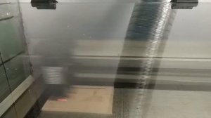 Как печатает лазерный принтер