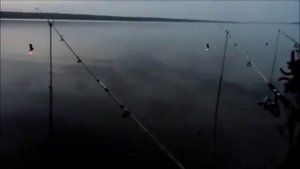 Рыбалка на Сома на Сурском водохранилище ( 31 мая 2017 г)