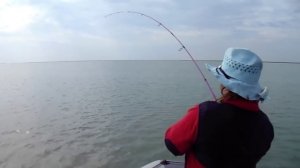 Чаны рыбалка