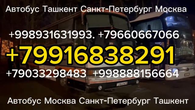 санкт-петербург-узбекистан автобус москва-ташкент автобус Москва Шымкент автобус#такси#рекомендации