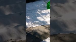 Труба для дымохода с отделкой под шифер.