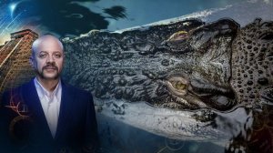 Нарушители границ. Фобии животных. Мост между Европой и Африкой. | Загадки человечества (20.05.20).