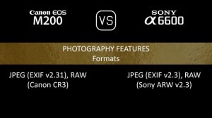 Canon EOS M200 vs. Sony A6600: A Comparison of Specifications