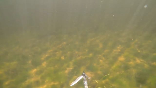 Подводная охота на раскатах в Дельте Волги смотреть онлайн