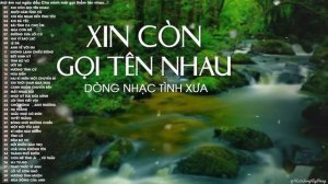 Xin Còn Gọi Tên Nhau, Mười Năm Tình Cũ - Nhạc Tình Hải Ngoại Xưa Nghe Hoài Không Chán