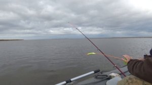 РЫБАЛКА НА БЕЛОМ МОРЕ, КАМБАЛА КРУПНАЯ, ВКУСНАЯ  НЕ ТОЛЬКО ТАЙГА РУЛИТ