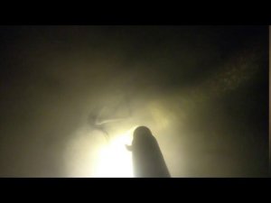 Ночная подводная охота. Сом. река Ока.