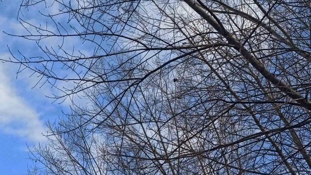 5 января народный праздник Федул Зимний. Народные приметы и традиции. Что делать нельзя.
