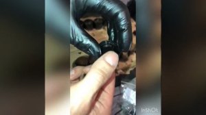 Kia Optima,ДВС G4KJ 2.4 замена сальников клапанов