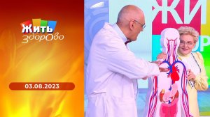 Жить здорово! Выпуск от 03.08.2023
