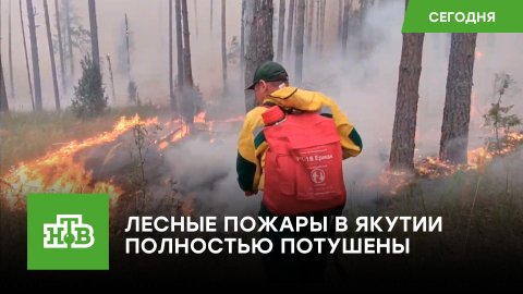 Лесные пожары в Якутии полностью потушены
