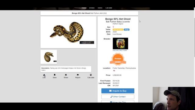 Brian Barczyk Ball Python Morph Combos | Plus New Stuff on MorphMarket | Jack's Reptiles