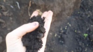 Купить чернозем