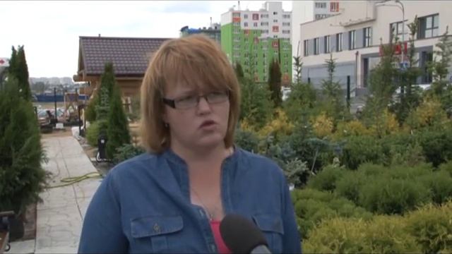 Гарденстирт желтые растения смотреть онлайн