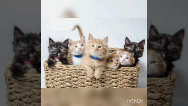 Поставь лайк