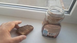 Трутовик Плоский Ganoderma applanatum применение в качестве жаропонижающего средства.
