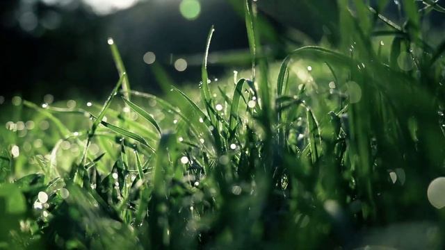 Медитация: Сила Благодарности (делать перед сном) смотреть онлайн