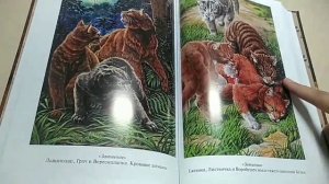 Обзор серии книг "Коты - воители. Золотая серия."(Эрин Хантер)