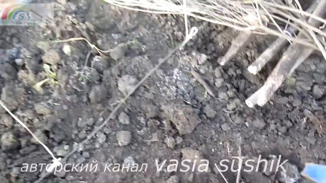 Обзор теплицы зимой.Теплица из поликарбоната зимой