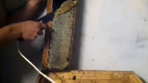 Пчеловодный электронож Гуслия