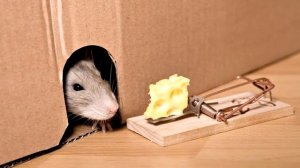 Анекдот с моралью.  На ферме заболел конь