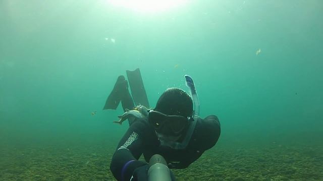 Подводная охота в Сибири 2012-2013; Spearfishing in Siberia смотреть онлайн