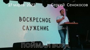 27.03.2022. Сергей Сенокосов. "Поймай вора."