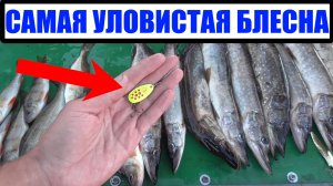 САМАЯ уловистая БЛЕСНА этого сезона. Щука и окунь. Рыбалка на спиннинг