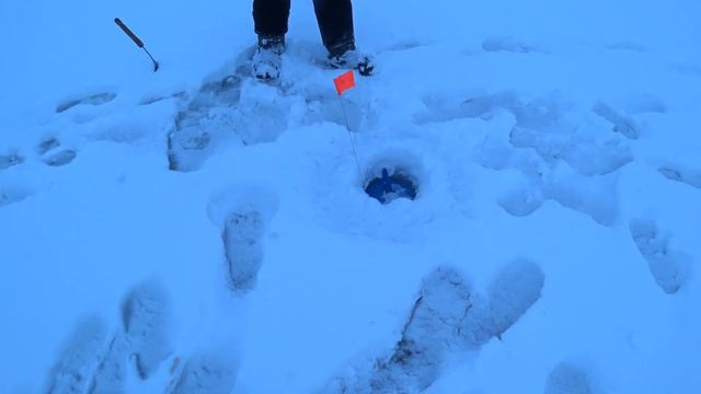 Щука на жерлицы, первый раз на зимней рыбалке. смотреть онлайн