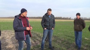 Опыт прямого посева. Покровные культуры