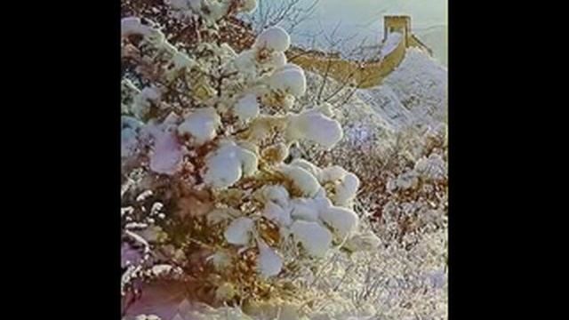 GREAT WALL OF CHINA. смотреть онлайн