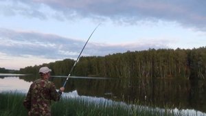 Хитрый линь запутал снасть, но мы смогли его поймать. Ловля линя на пруду