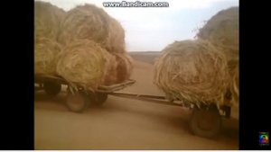 Татарские приколы!!