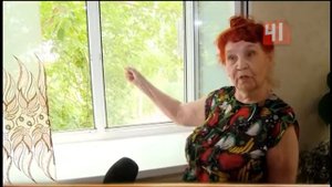 Дерево под окнами