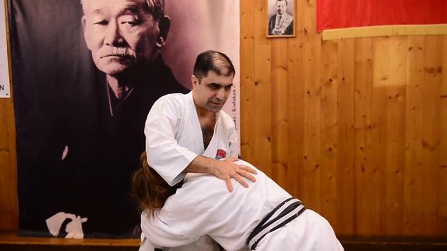 Ваник Арутюнян Будо Академия смотреть онлайн