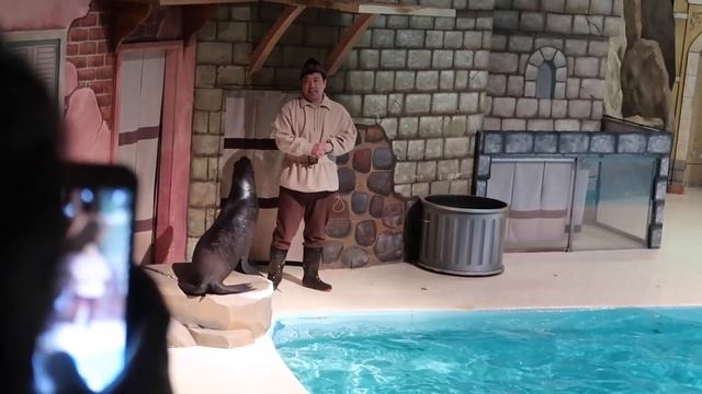 ТОП достопримечательностей Сеула : ПАРК EVERLAND | Zootopia