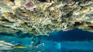 GoPro 8 Black- tests in water and under water / в воде и под водой