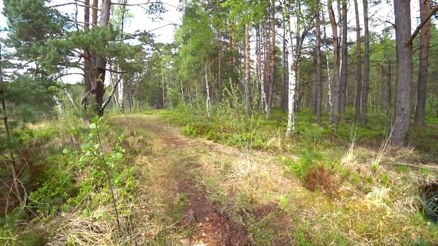 Велорайд. Кемери. Национальный парк Кемери.