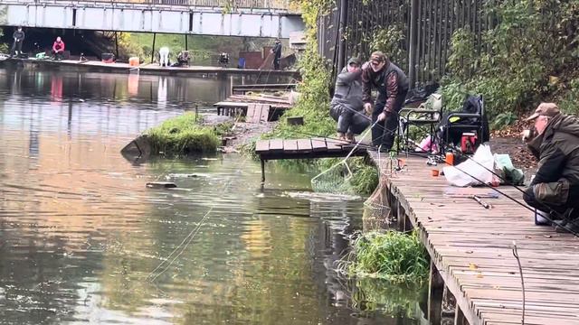 Форель Красногорск смотреть онлайн