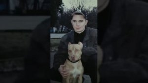Песня сыну