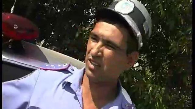 ГАИшники блещут мозгом смотреть онлайн