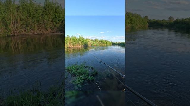 Гламурный голавль клюнул на воблер