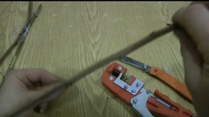 кизил размножение