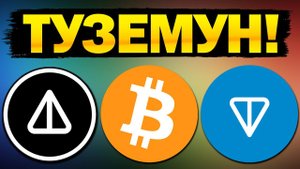 Объявляю ТУЗЕМУН открытым! Когда Альтсезон? NOTCOIN TONCOIN BITCOIN