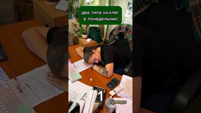 Есть два типа коллег...