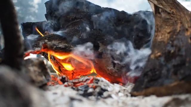 Костер Огонь Дым Угли Дрова смотреть онлайн