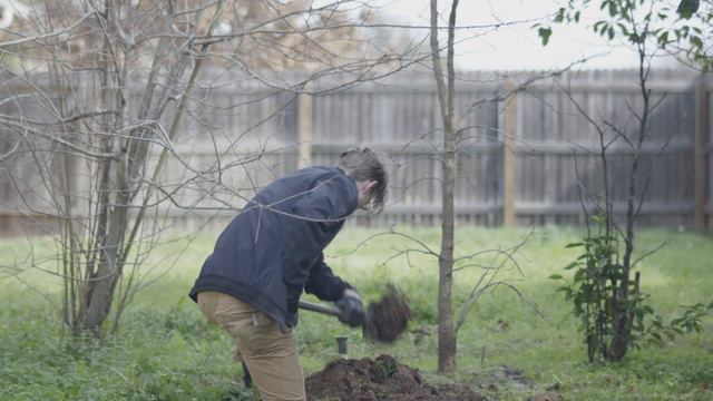 Vivian  Official Trailer Short Film