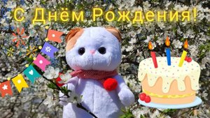 Красивое поздравление с Днём Рождения от кошечки Лили