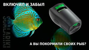 Обзор автокормушки для рыб Tetra myFeeder